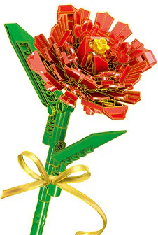 Kanoodle Garden: Carnation 3-colors