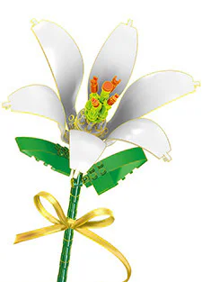 Bonsai Garden: Chrysanthemum 3-colors
