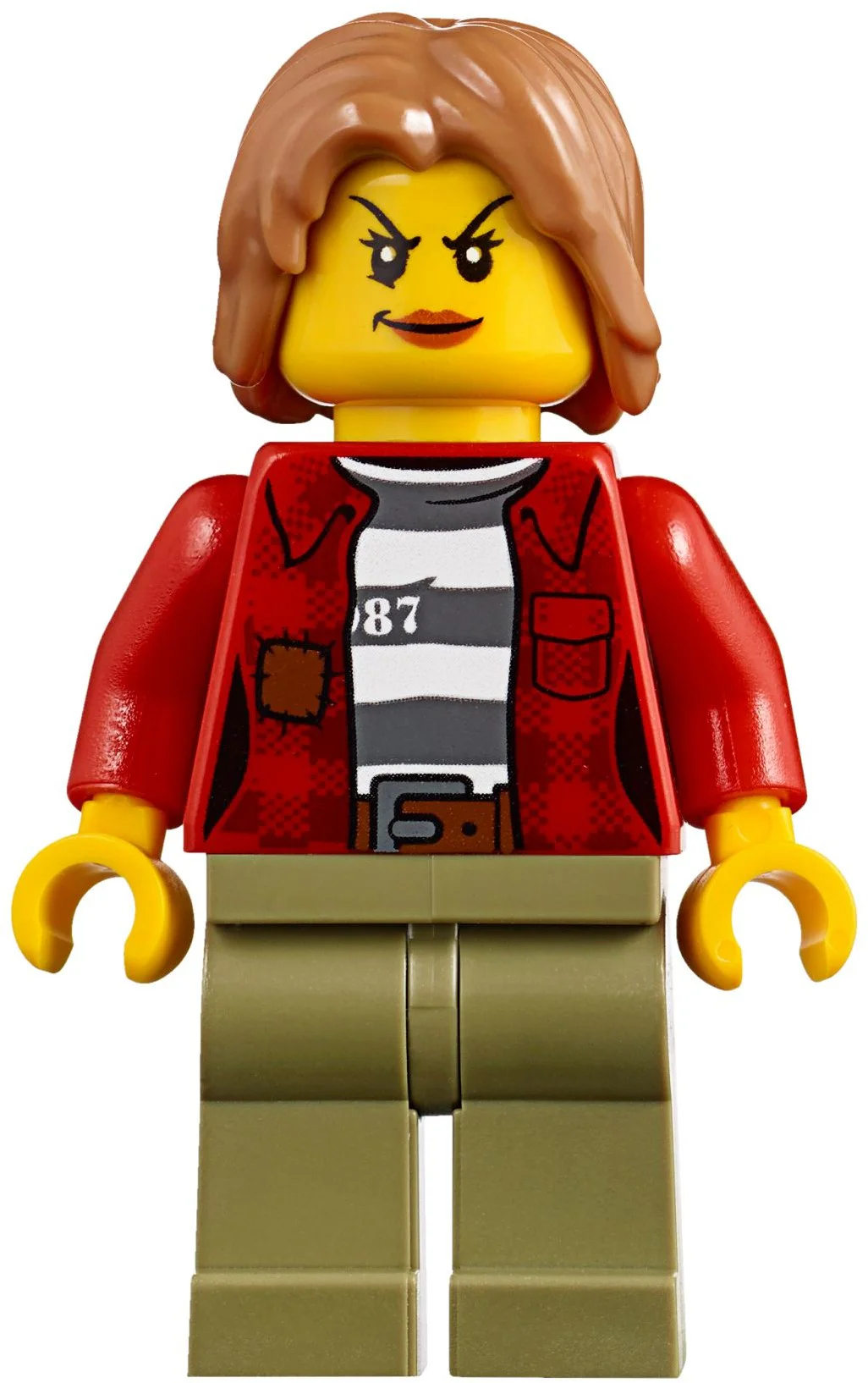 Mountain Police Airborne Pursuit 乐高 LEGO 60173 image 9