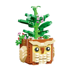 Tropical Plant Garden: Cat's Claw and Heartleaf Helix
