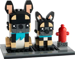 French bulldogs