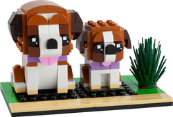 Saint Bernard's dog