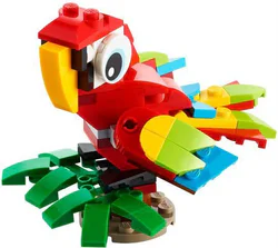 Scarlet Macaw