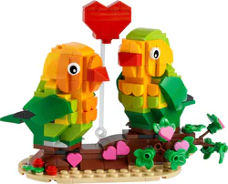 Lovebird