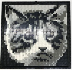 Marseille: Cat