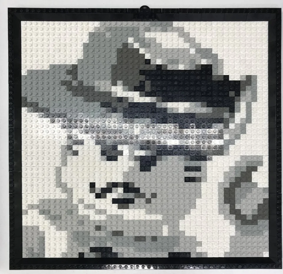 Marseilles: Ray Johnny 乐高 LEGO K34433