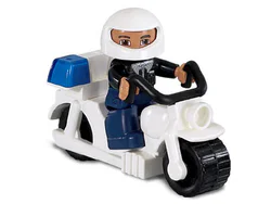 Traffic police